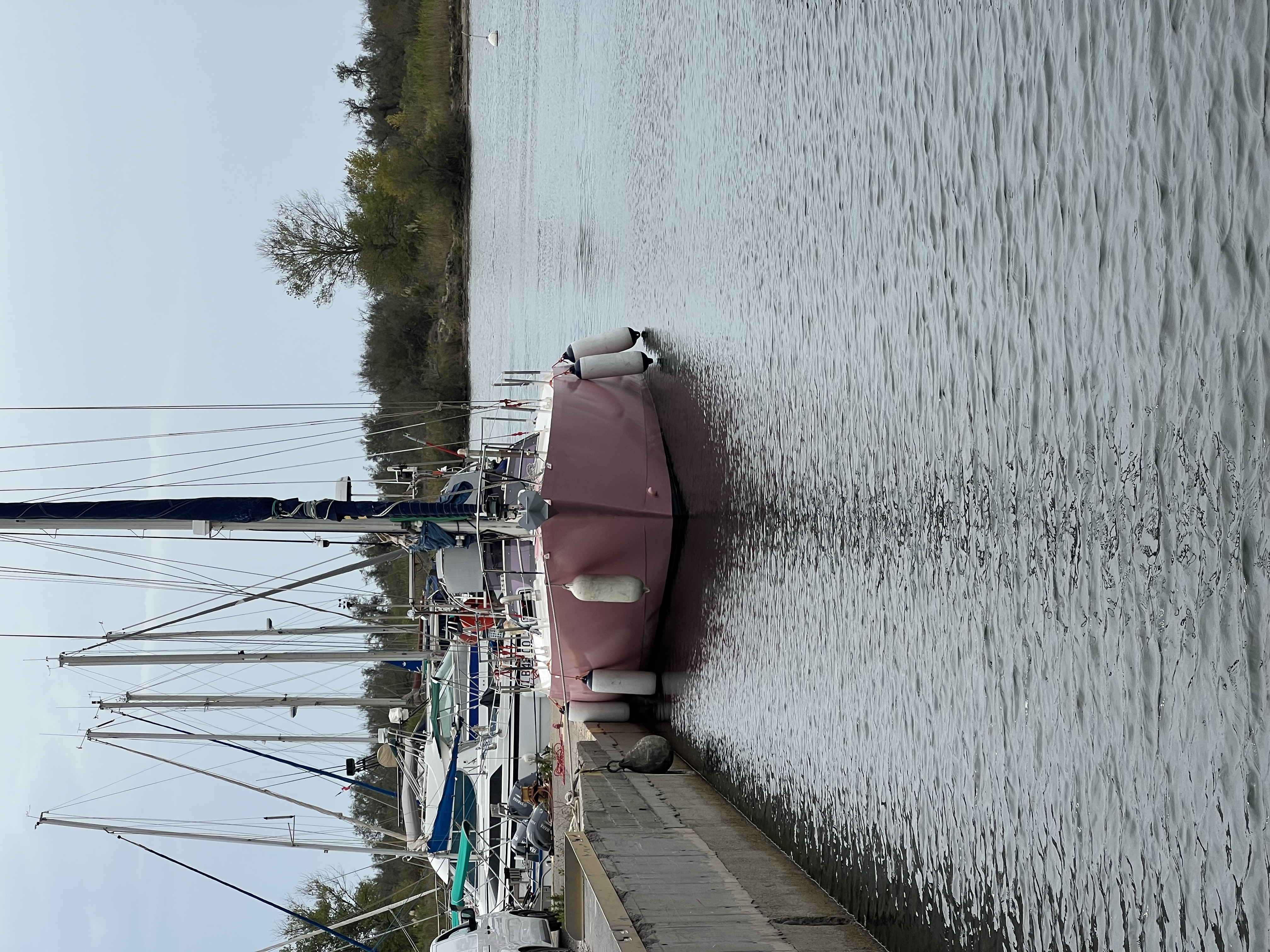 Arion : au mouillage