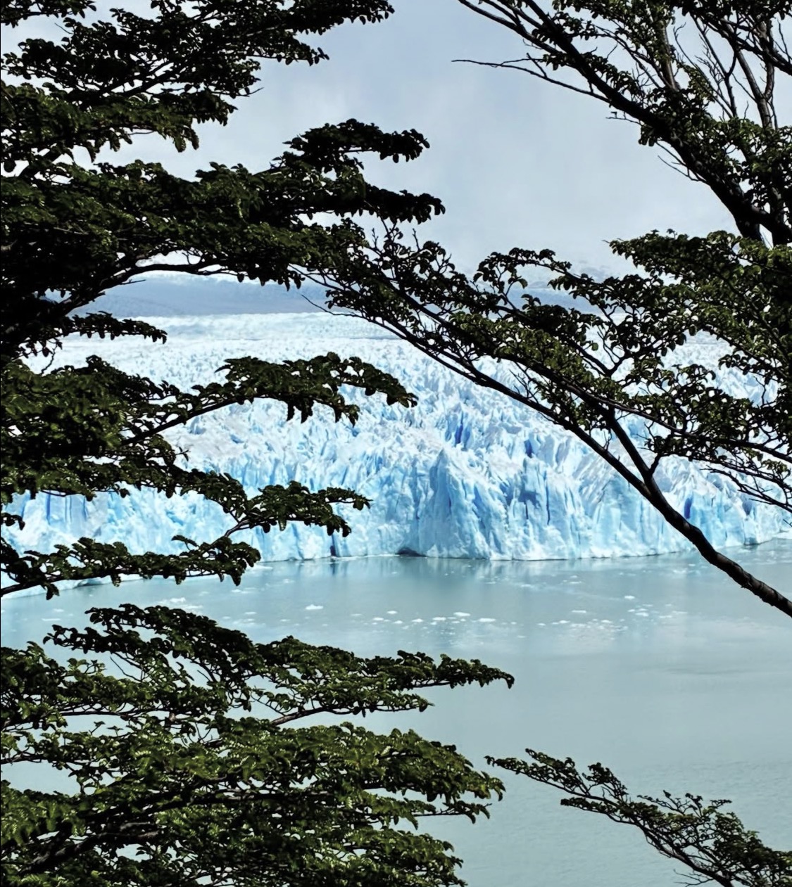 Patagonie — extrait