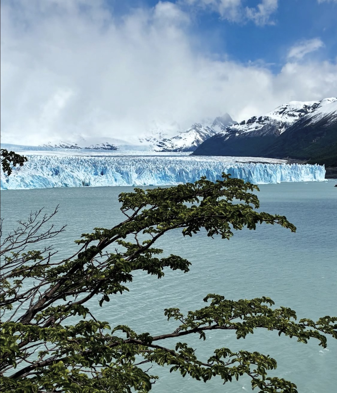 Patagonie — extrait