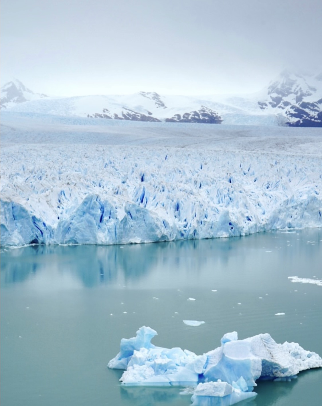 Patagonia, canales y hielo